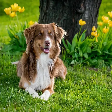Am Weinberg, Vakantiehuis *