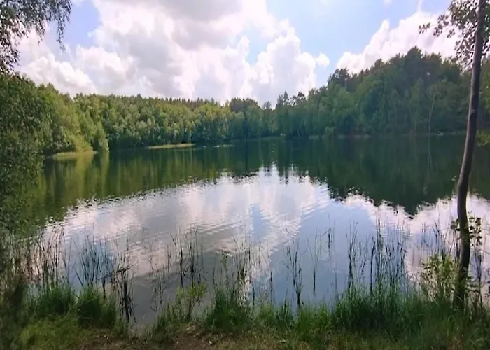 Am Weinberg, 펜션 *